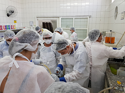 10. Aula Prática