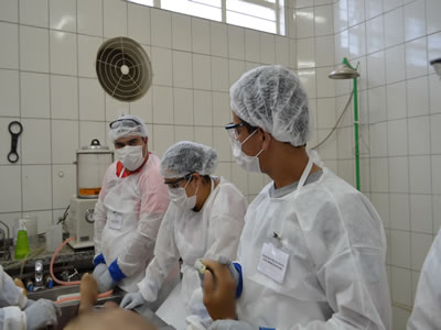 8. Aula Prática